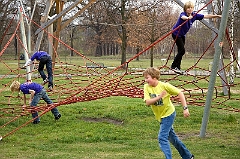 IMG_3196_Ronald_Zimmermann