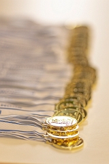 FLL_Karaschewski_1200px_0004