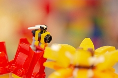 FLL_Karaschewski_1200px_0053