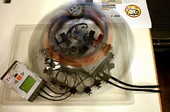 _MG_5009_Ronald_Zimmermann